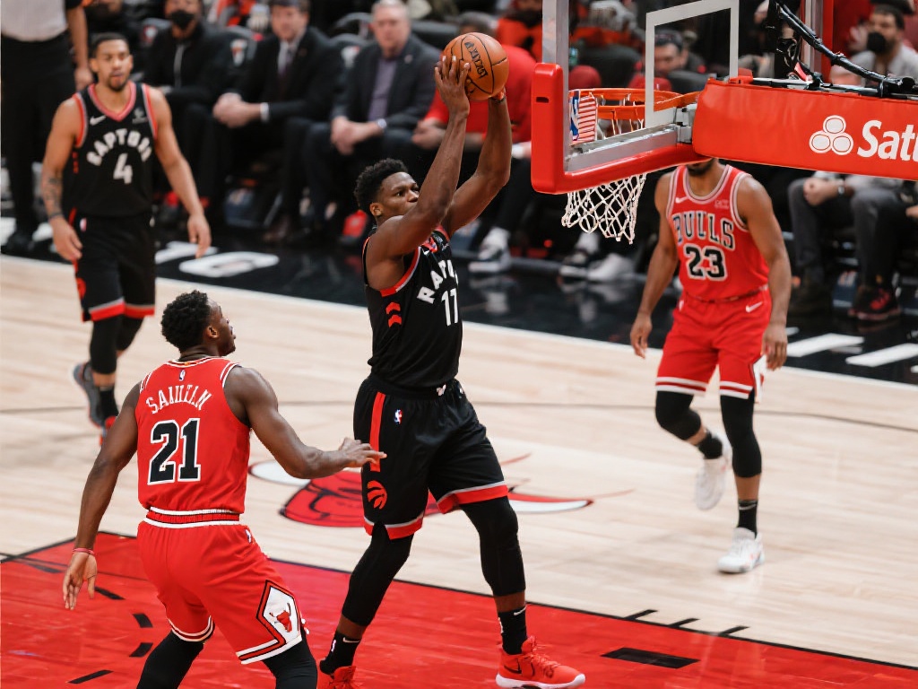 这一规则的 这一规则的